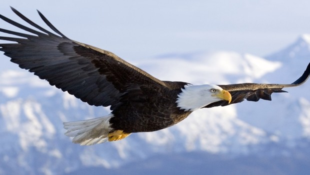 Leadership: lo Stile è tutto!